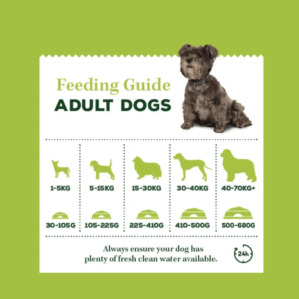 Paul O'Grady's No Nasties Adult Rich in Lamb 4 x 2kg