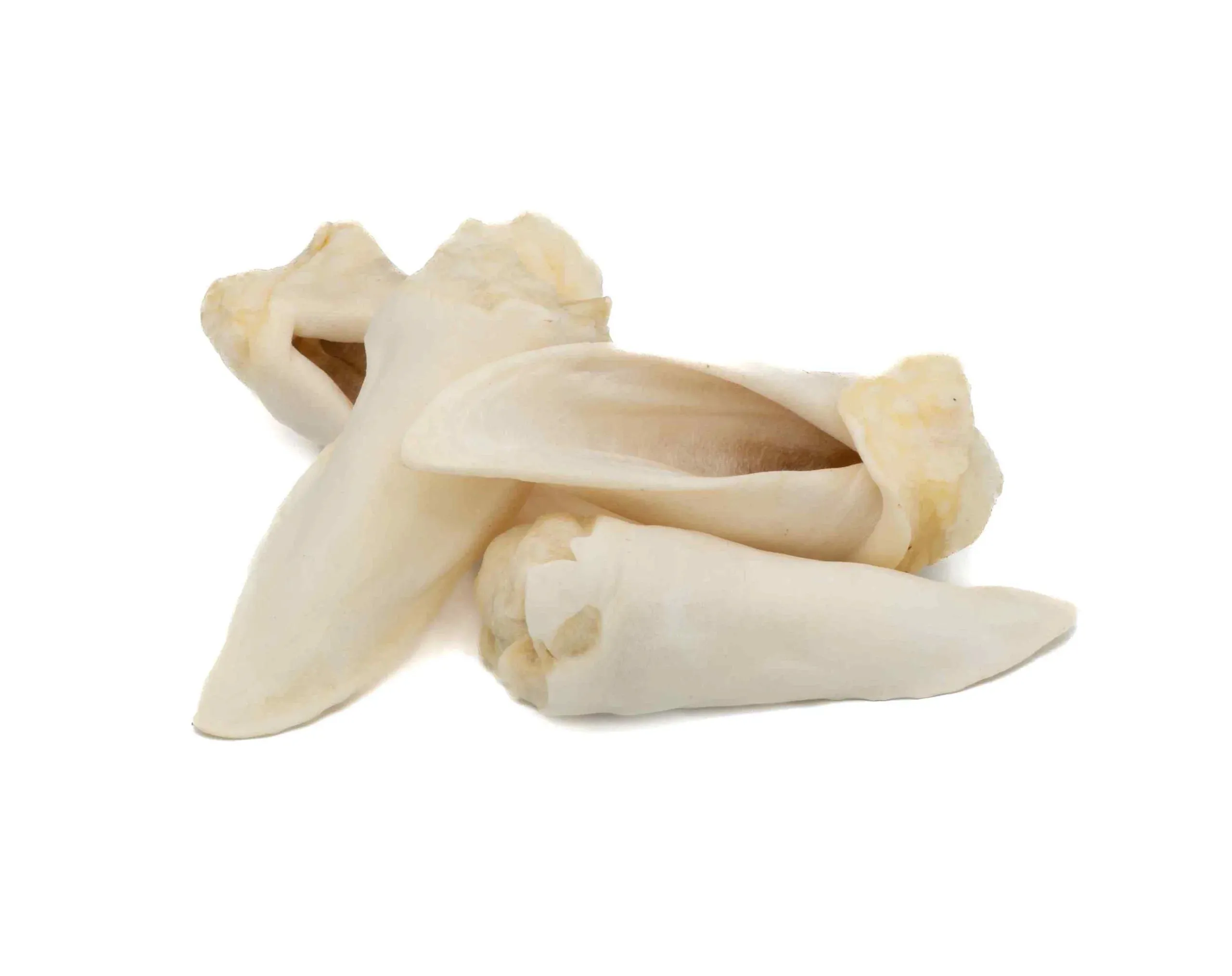 Puffed Lamb Ears