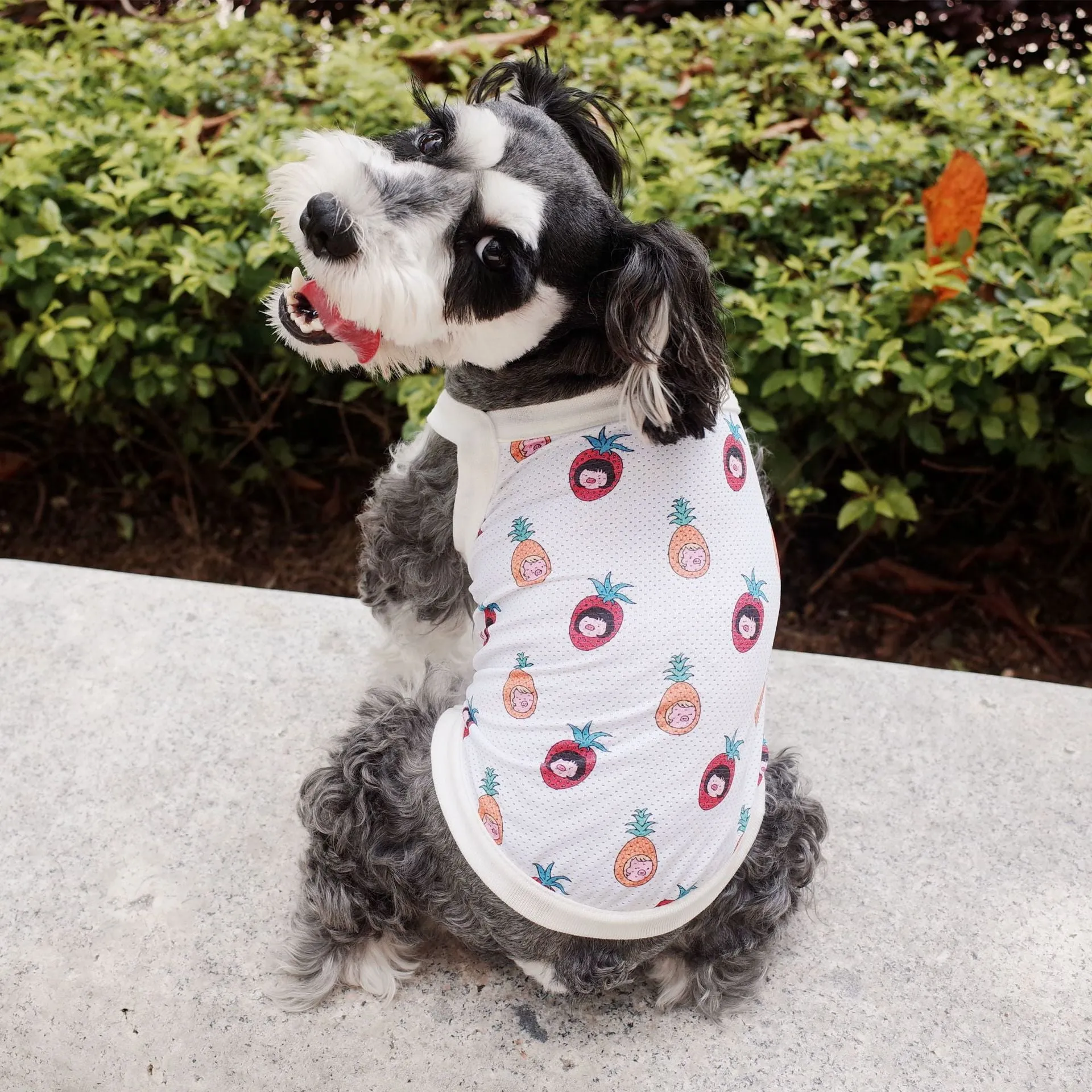 Summer Pet Clothes Mesh Breathable Vest