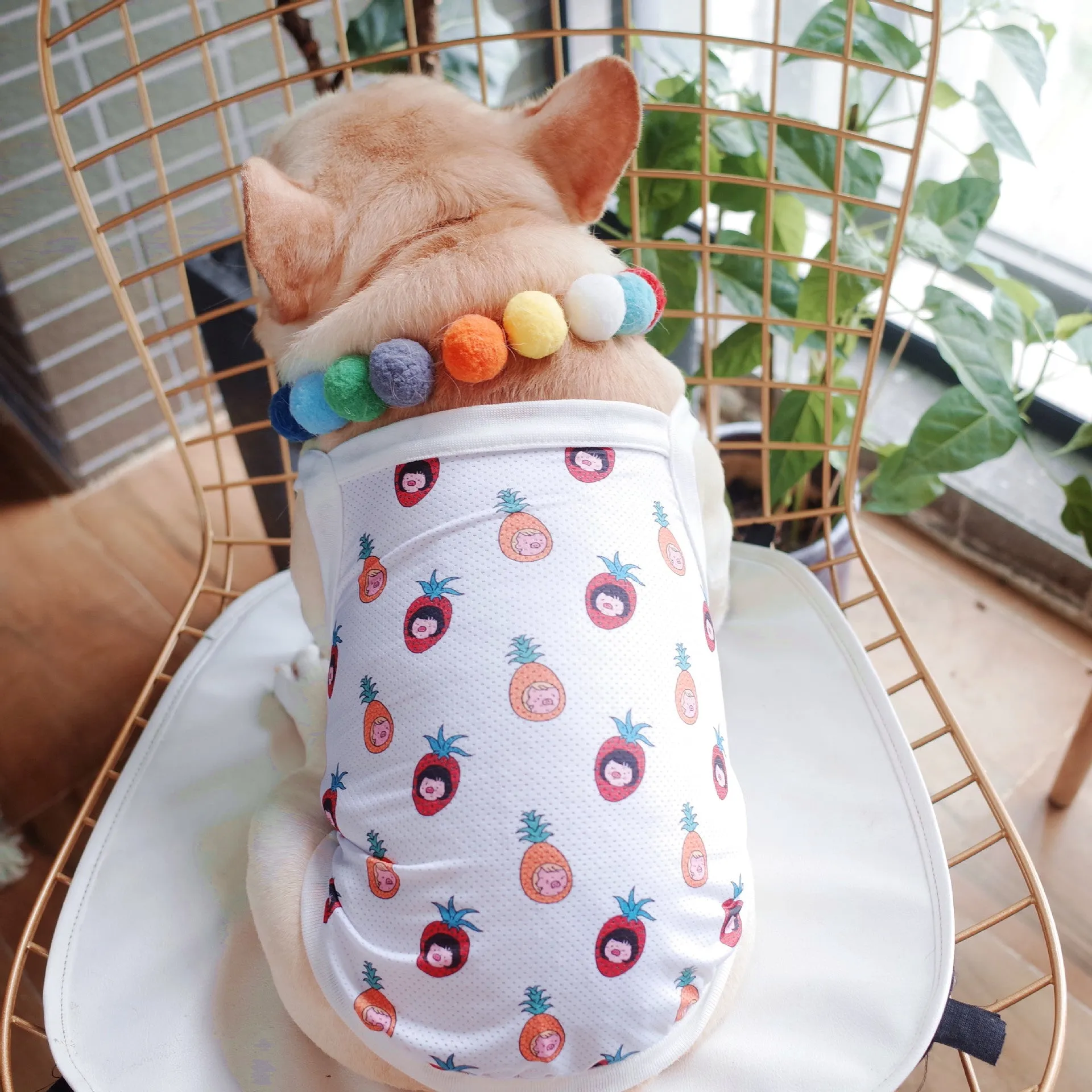 Summer Pet Clothes Mesh Breathable Vest